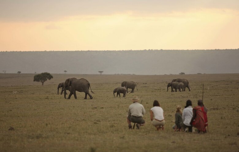 Elewana Elephant Pepper Camp