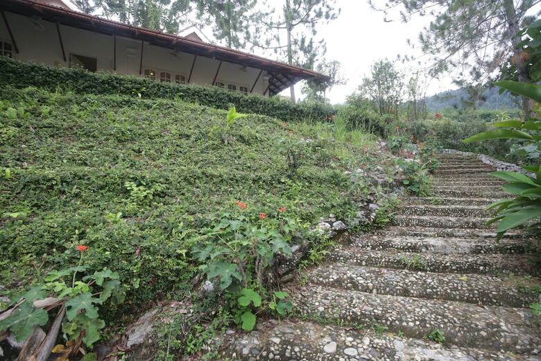 Benum Hill Resort