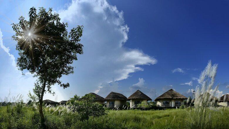 Hotel Barahi Jungle Lodge