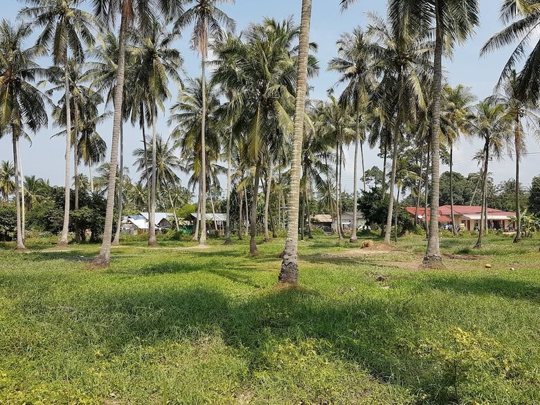 Samui Zenity Hotel