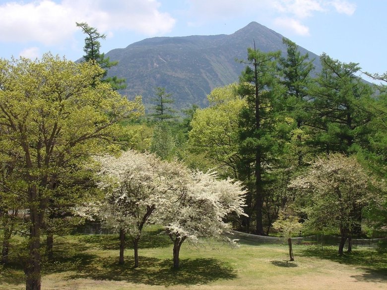 Nikko Astraea Hotel