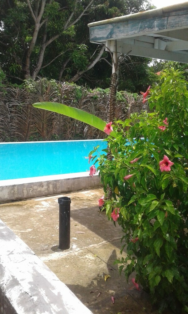 Hotel The Friendly Islander (Papiloa's Place)