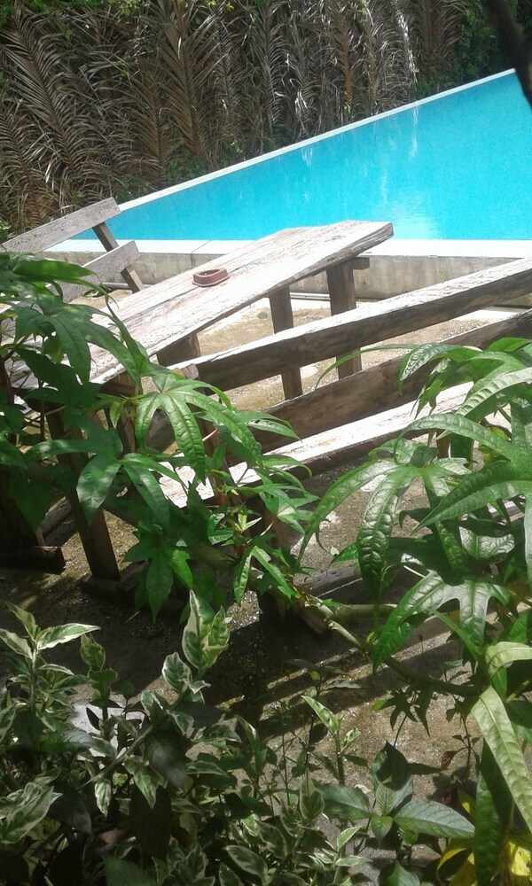 Hotel The Friendly Islander (Papiloa's Place)