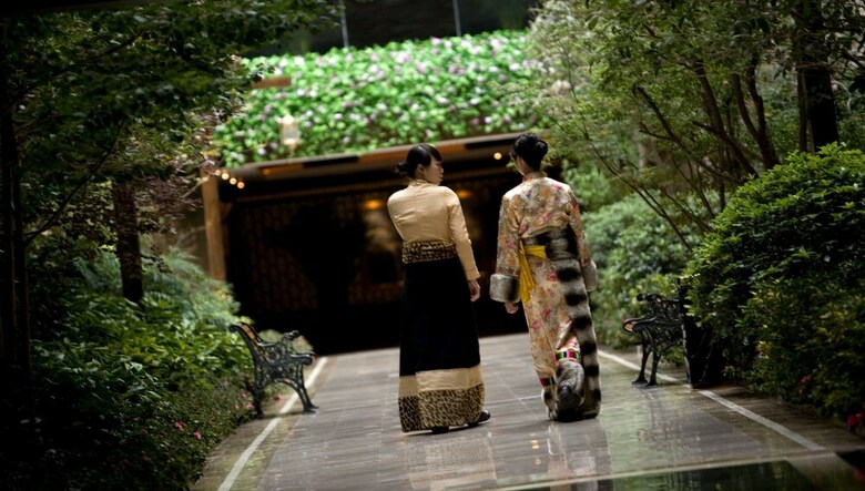 Apartamento Intercontinental Resort Jiuzhai Paradise