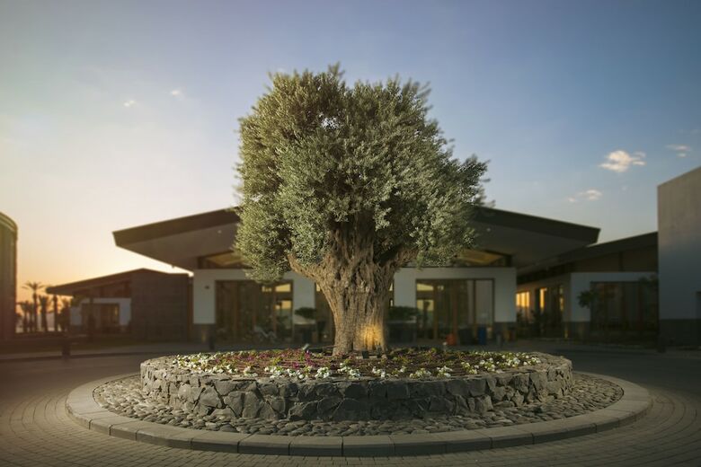 Hotel The Setai Sea Of Galilee