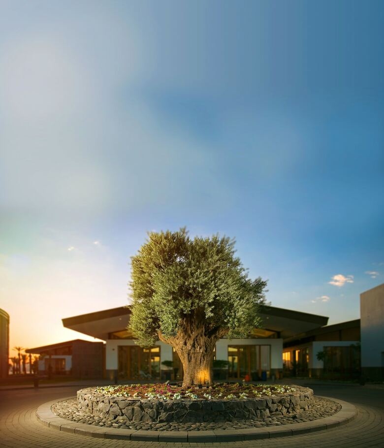 Hotel The Setai Sea Of Galilee