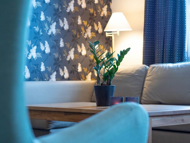 Hotel Bj�rkbackens Karakt�rshotell