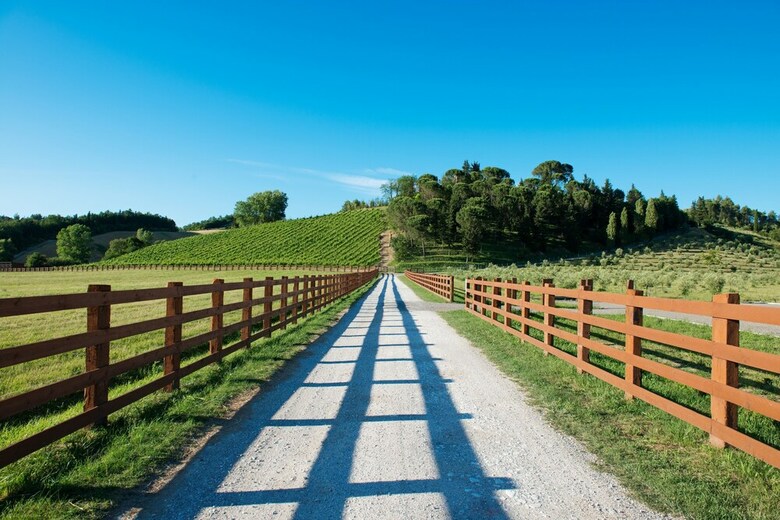 Agroturismo Relais Sassa Al Sole