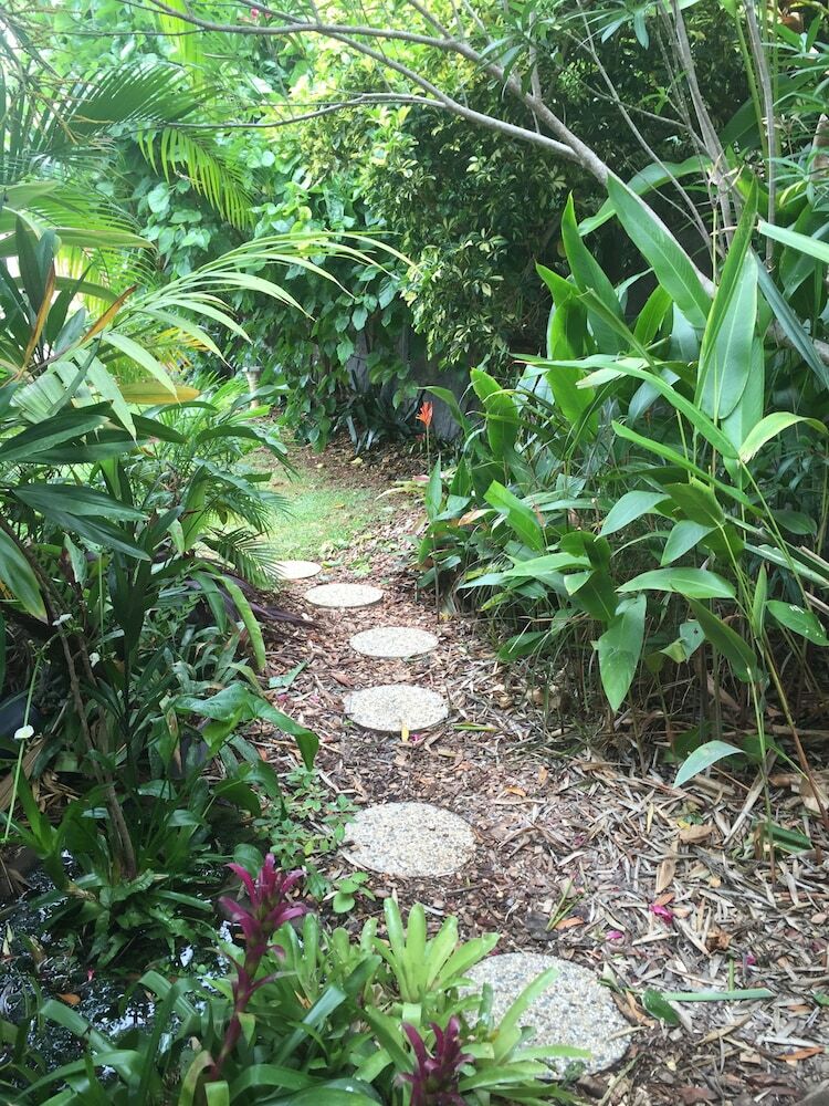 Apartamentos Sunshine Coast Tropical Getaway