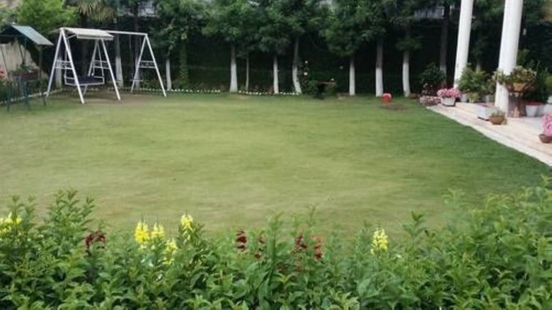 Hotel Alaf Laila Guest House