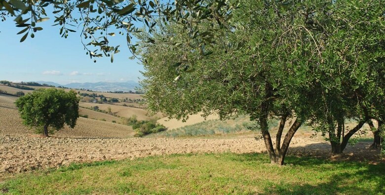 Agroturismo Relais Il Margarito