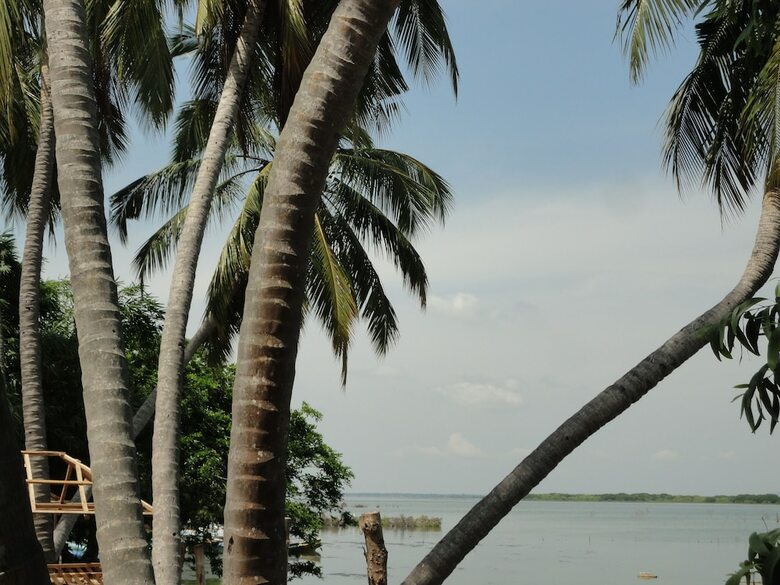 Sunnyfish Hotel & Resort