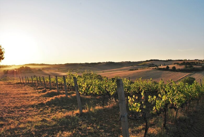 Agroturismo Villa Cozzano