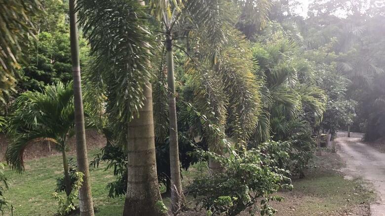 Hotel Hacienda Tres Casitas