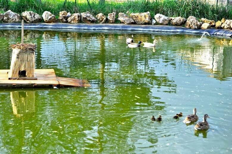 Domaine Des Bories