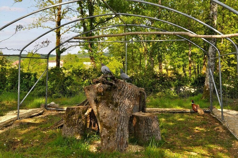 Domaine Des Bories