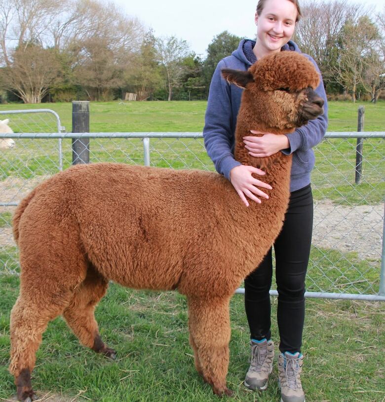 Agroturismo Silverstream Alpaca Farmstay And Tour