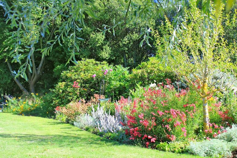 Agroturismo Silverstream Alpaca Farmstay And Tour