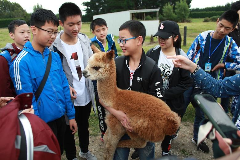 Agroturismo Silverstream Alpaca Farmstay And Tour