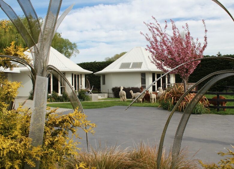 Agroturismo Silverstream Alpaca Farmstay And Tour