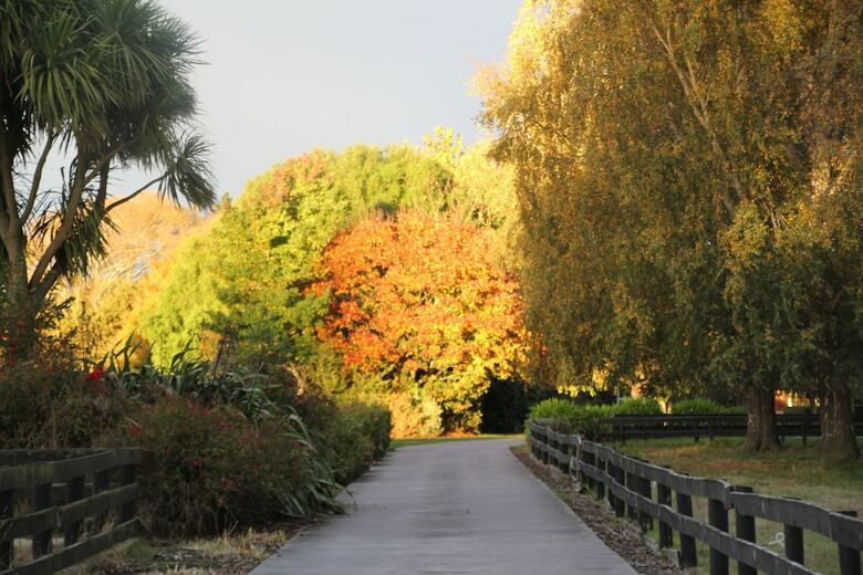 Agroturismo Silverstream Alpaca Farmstay And Tour