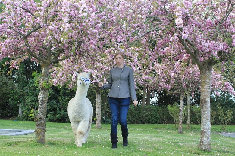Agroturismo Silverstream Alpaca Farmstay And Tour