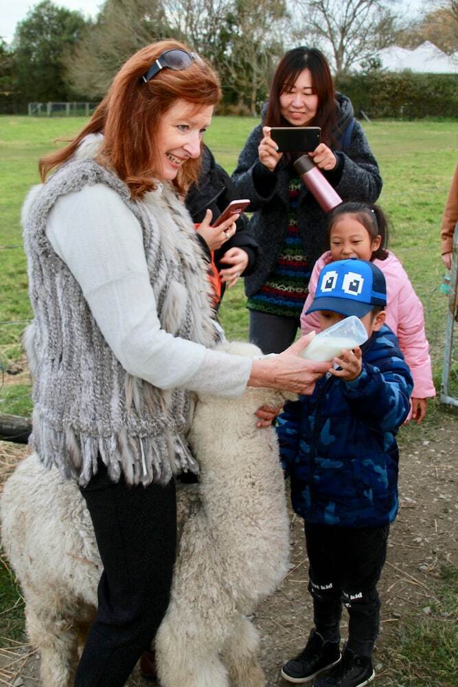 Agroturismo Silverstream Alpaca Farmstay And Tour