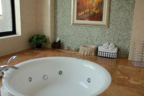 Hotel Yancheng Shuicheng Resort