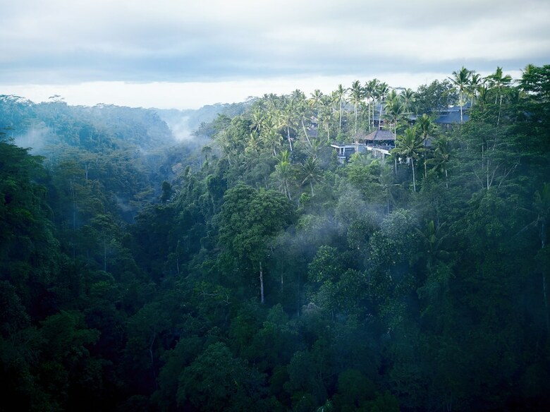 Hotel Hoshinoya Bali