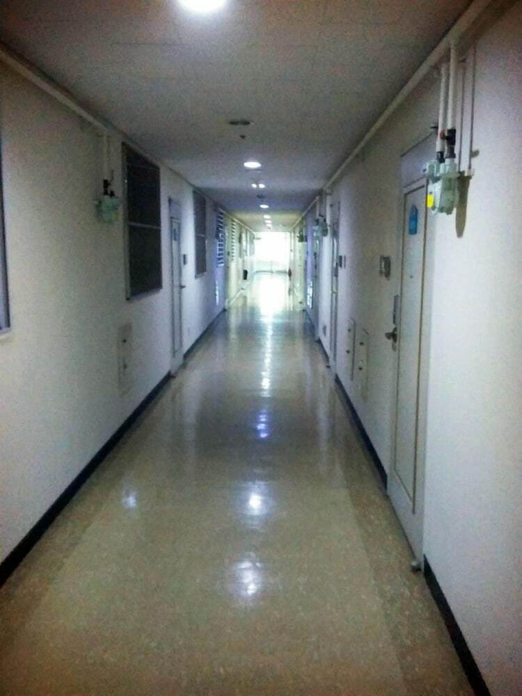 Apartamentos Like U