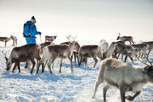 Star Arctic Hotel