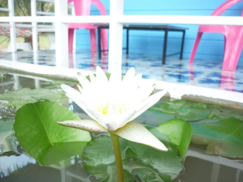 Hotel Maneemudjalin Resorts Farm Stay