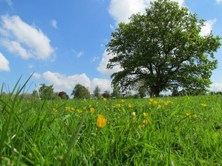 Hotel Lowe Farm - Bed & Breakfast Leominster