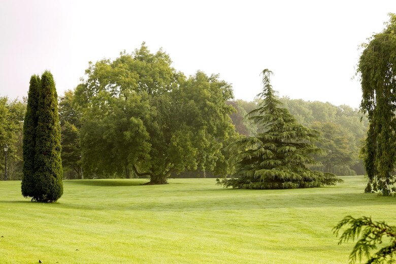 Moyvalley Hotel & Golf Resort