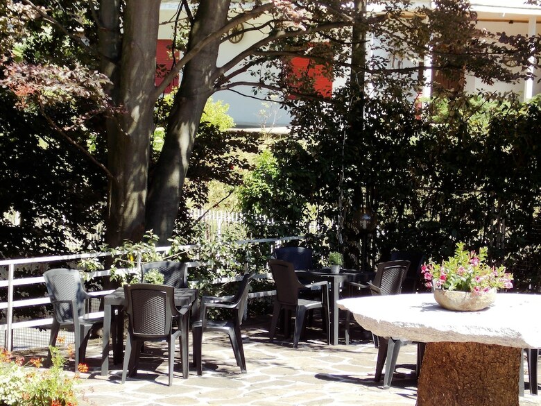Hotel Alpino