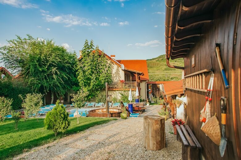 Hotel Casa Dives, Transylvania