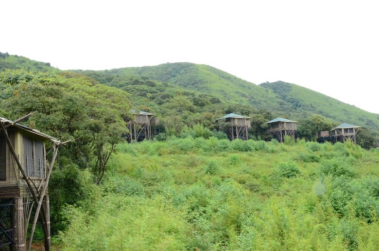 Vinetree Gaoligong Tented Resort