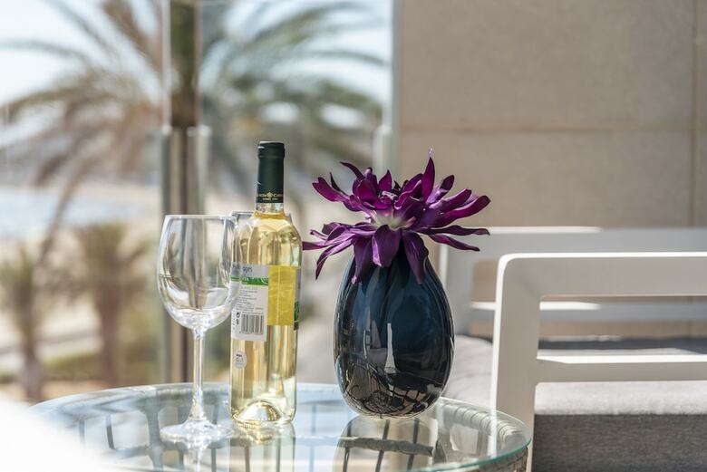 Aparthotel Apartamentos Delf�n