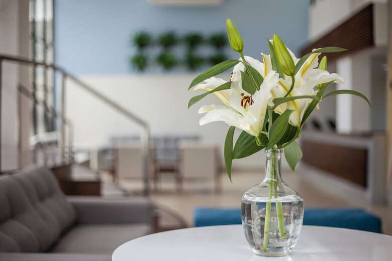 Hotel Jo�o Pessoa Hplus Beach