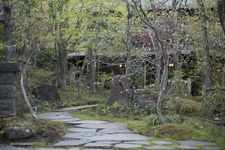 Nihon No Ashitaba