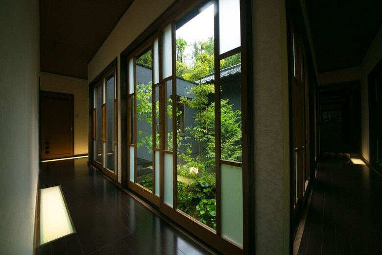 Nihon No Ashitaba