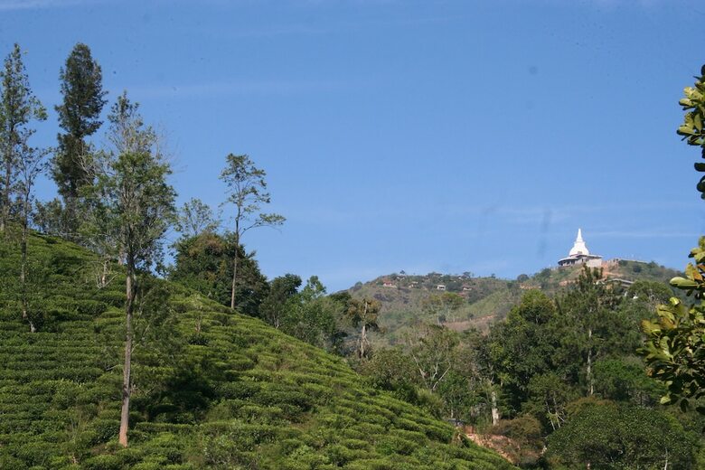 Hotel Ayubo Ella