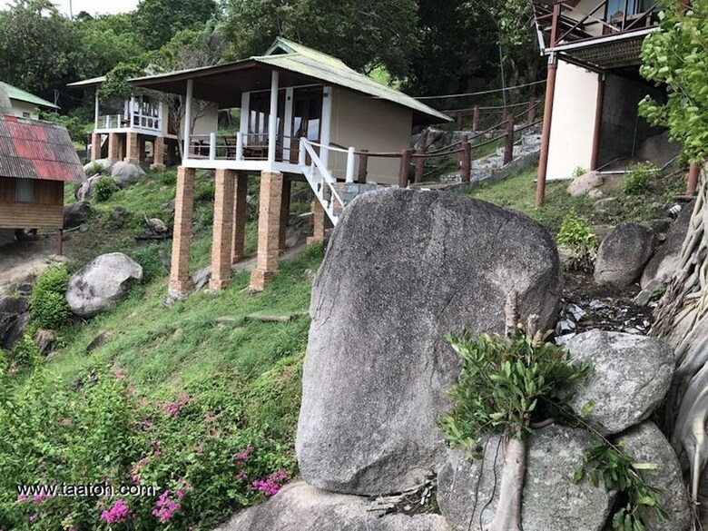 Hotel Freedom Beach Resort