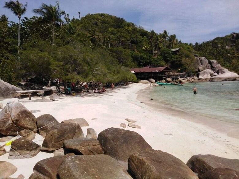 Hotel Freedom Beach Resort
