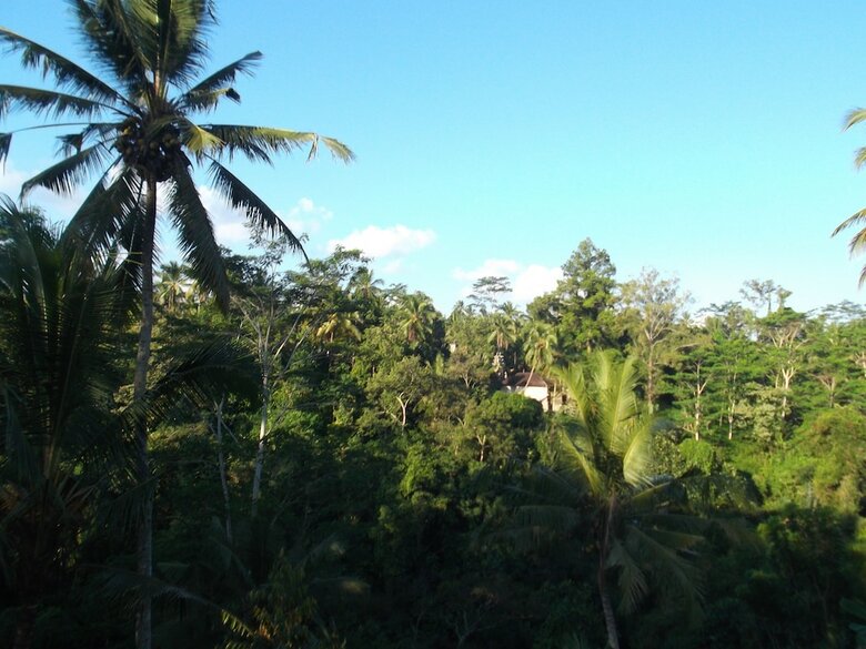 Hotel Doni House & Villa