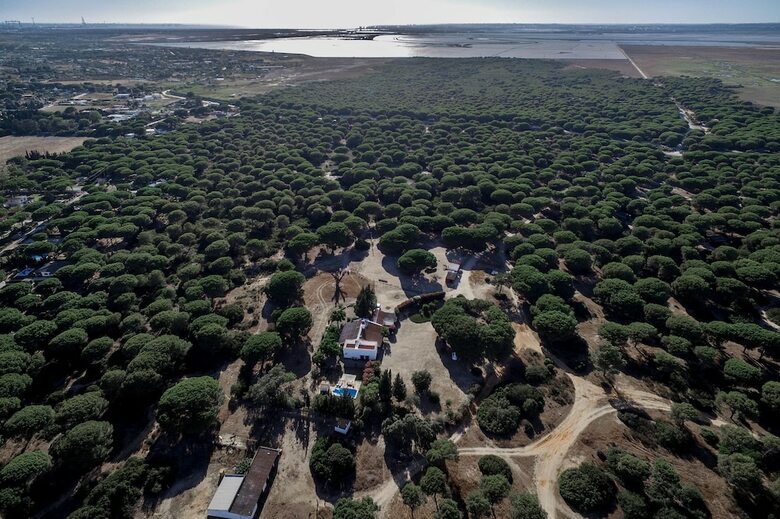 Villa Casa de Campo Dehesa de Las Yeguas
