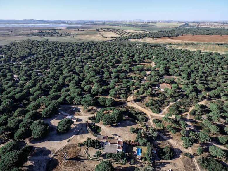 Villa Casa de Campo Dehesa de Las Yeguas