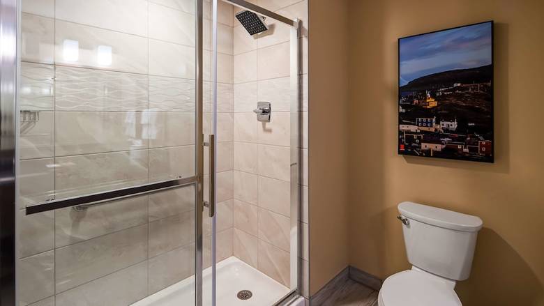 Best Western Plus St. John's Airport Hotel And Suites