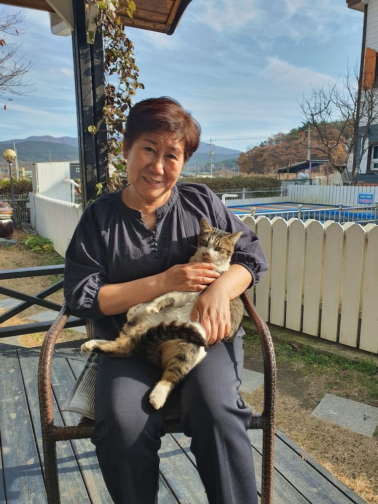 Gyeongju Ye Jeon Pension