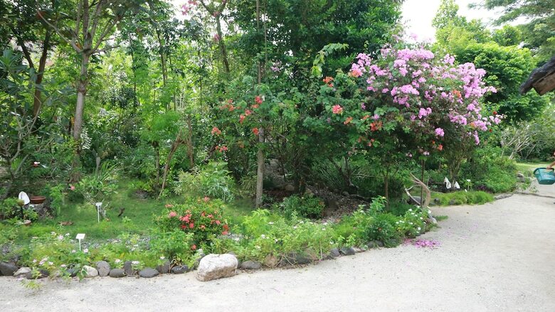Bed & Breakfast Hambilica Ecolodge